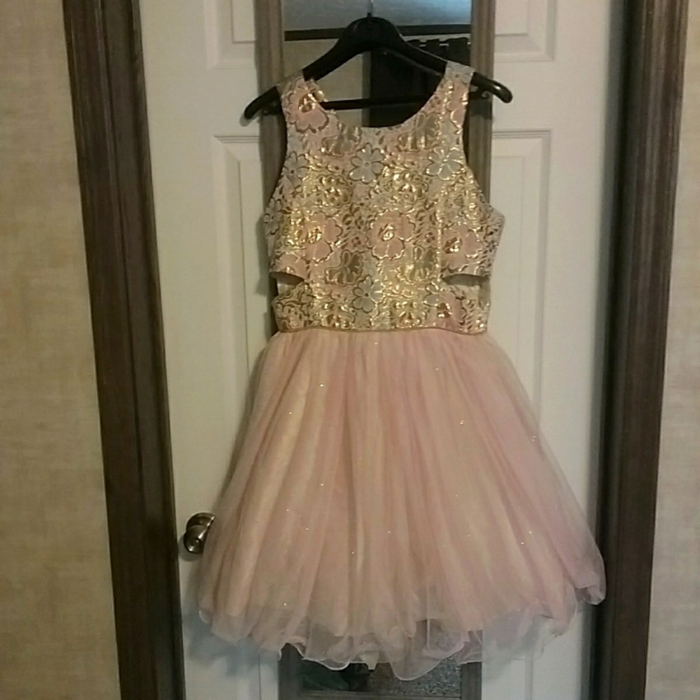 Pink & Violet size 16 dress